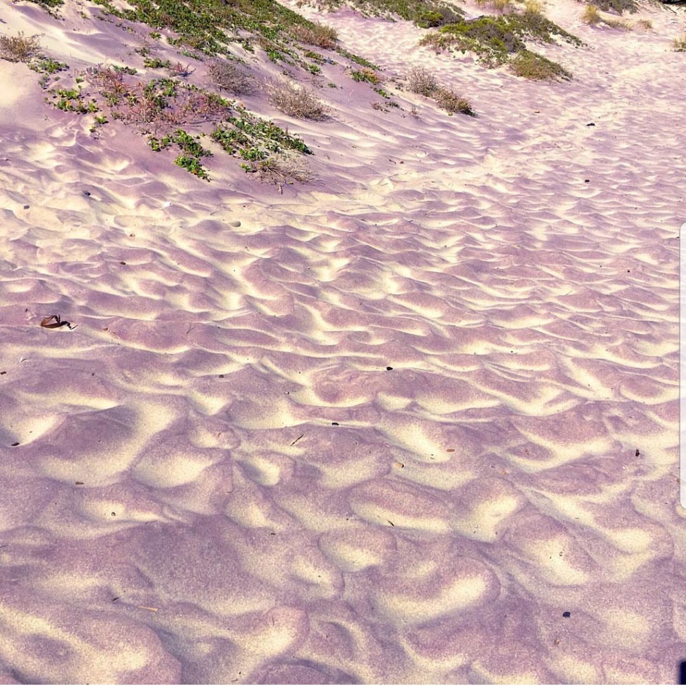 Meet your Posher, Letisia